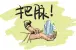 武汉这些地方房价上涨快！买房看准了！