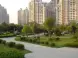 为什么说高房价影响离婚率?房价与离婚率有什么关系