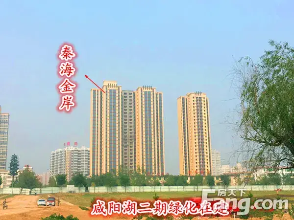 秦海金岸