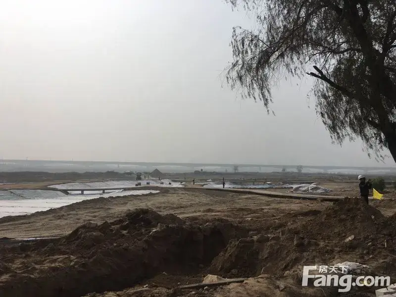 秦海金岸