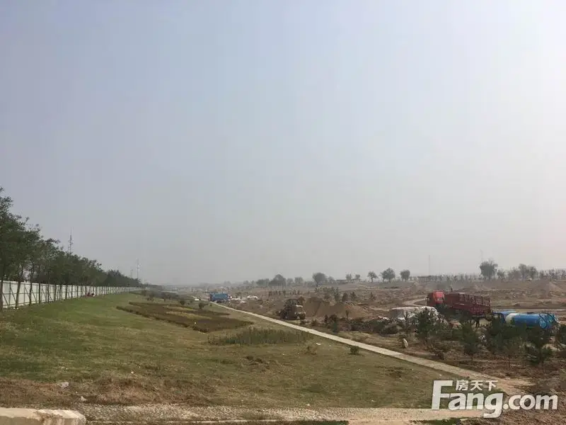 秦海金岸