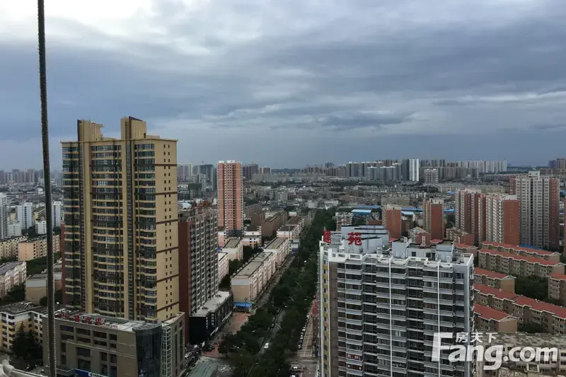 秦海金岸