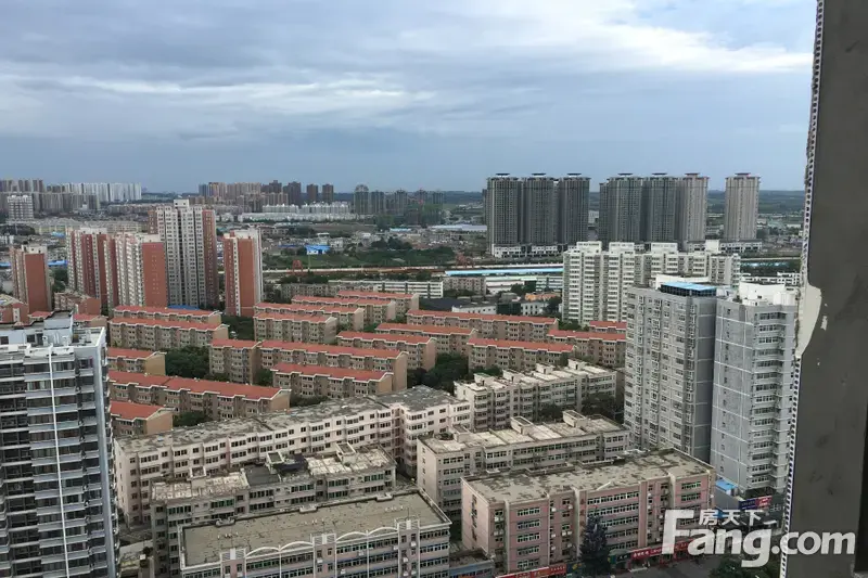 秦海金岸