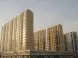 青岛户口买拆迁安置房需要什么手续？有什么限制
