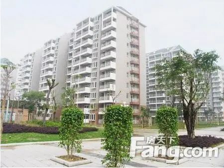 �ɶ����÷�ֻ�о�סȨ���Թ�������Ҫʲô����