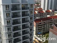 �޵�Ѻ�����������Ϣ���٣��й涨��