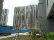 ��ˮũ��լ�����Խ�����ʲô��Ȩ����Ȩ������ô��
