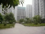 �ɶ��޵�Ѻ����������ʲô�����������Ƕ���