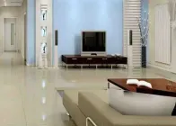 �˲����׷�Ҫ������˰��Ҫ������˰