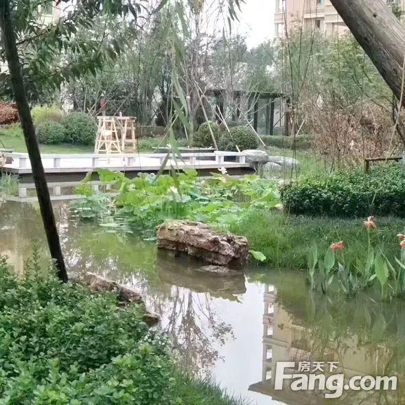����