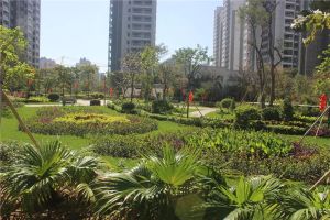 城南大3房双套间,南北对流双向阳台,毛坯房核心位置