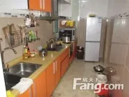 �������ô����������������ô���Ҫ����ʲô��