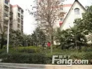�����Ӽ�Э���飿����������ת�õ�����