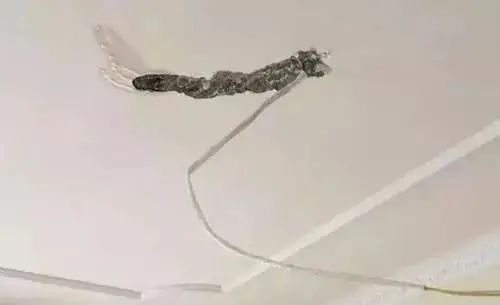����