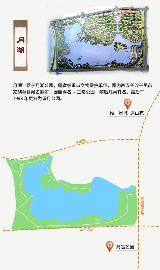 第28期